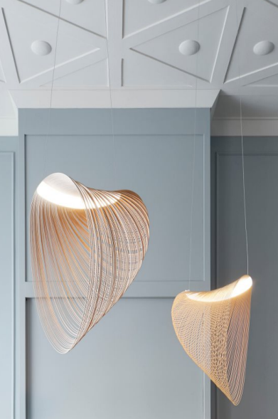 Modern Ceiling Light